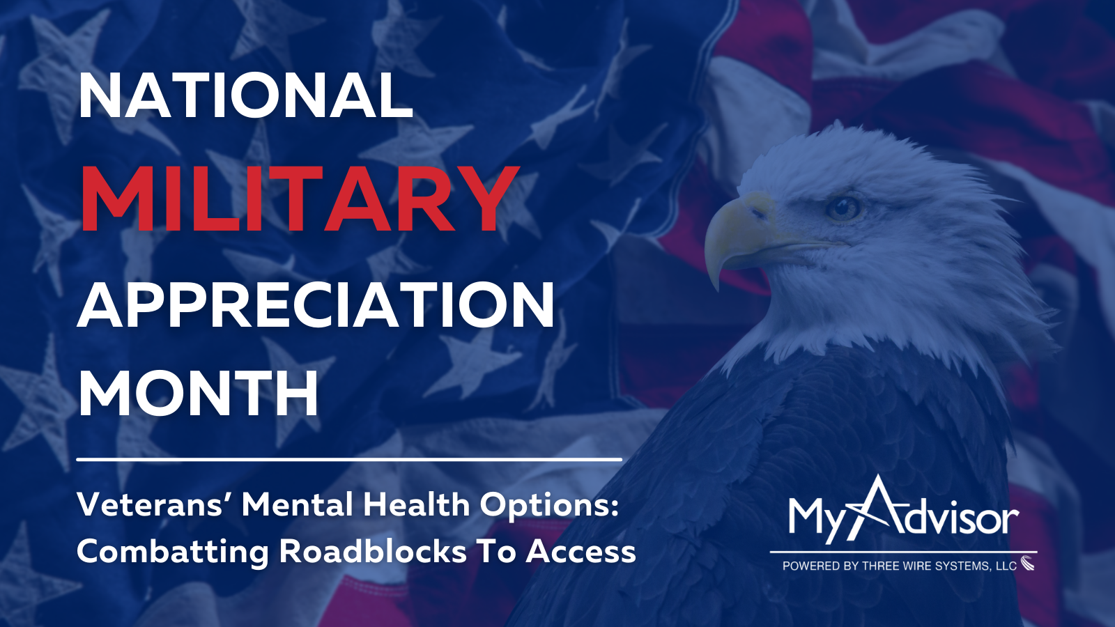 Veterans’ Mental Health Options: Combatting Roadblocks To Access